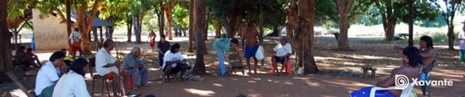 XVPB_JW_FT_15mai2010_vitrine_aldeia (3).jpg